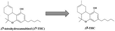 Delta-8-THC association with psychosis: A case report with literature review